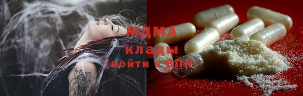 мдпв Богородицк