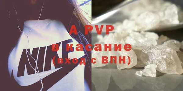 индика Богданович