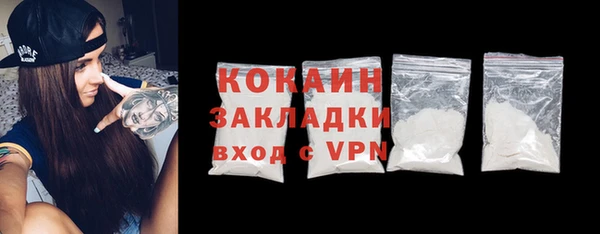 индика Богданович