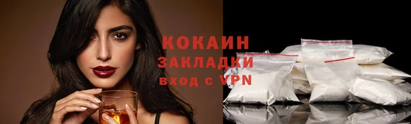 мдпв Богородицк