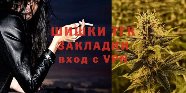 индика Богданович