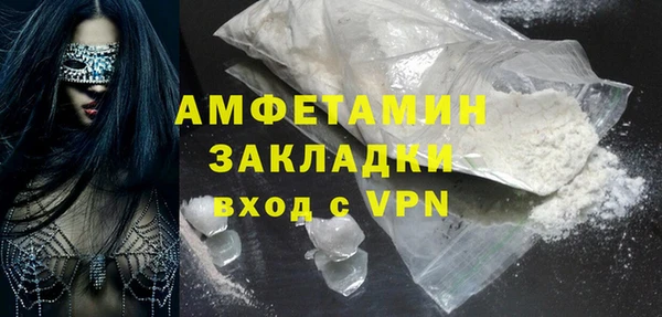 индика Богданович