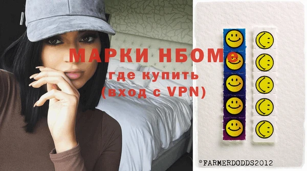 мдпв Богородицк