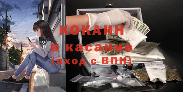 мдпв Богородицк