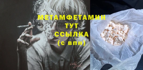 индика Богданович
