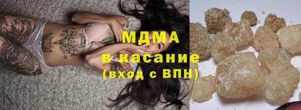 индика Богданович