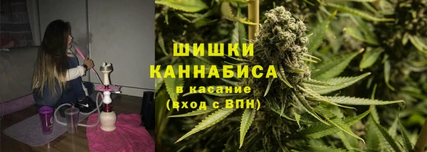 мдпв Богородицк