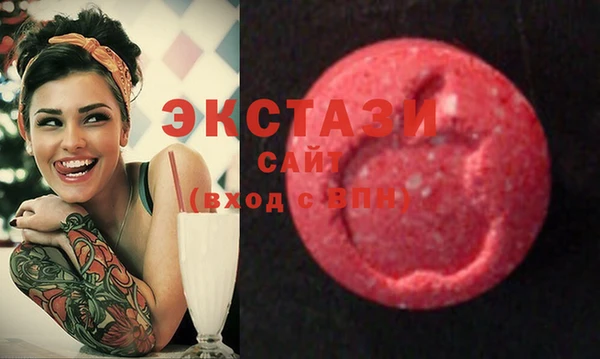 мдпв Богородицк