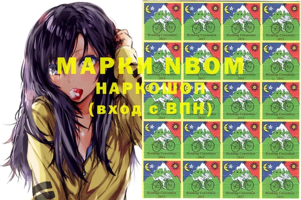 индика Богданович