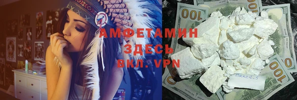 индика Богданович