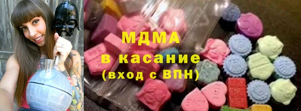 индика Богданович