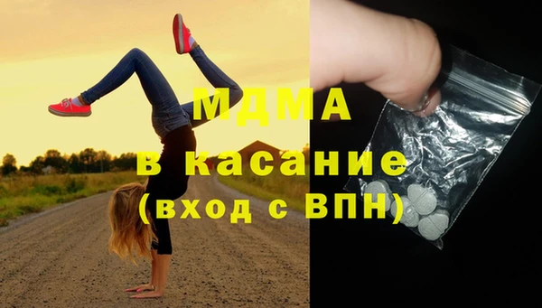 индика Богданович