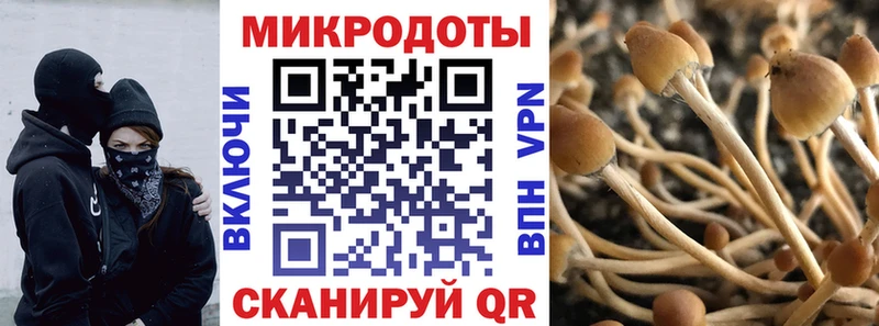 Псилоцибиновые грибы Cubensis  Ставрополь 
